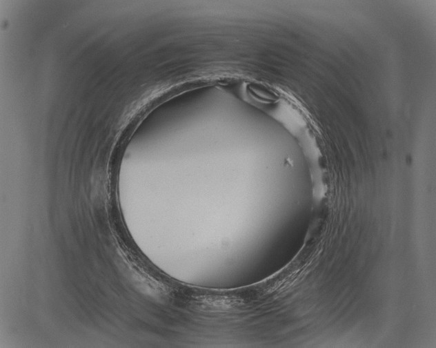 X0000083660439200703051756