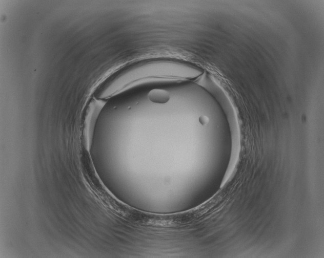 X0000083660440200703051756