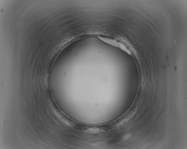 X0000083660441200703051756