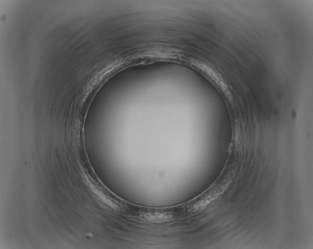 X0000083660445200703051756