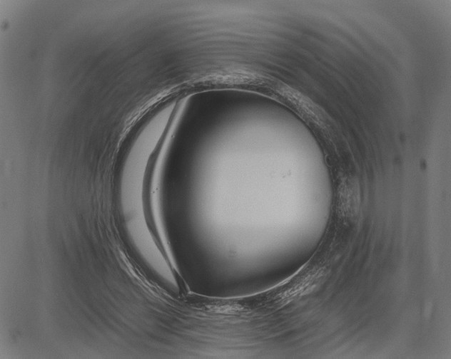 X0000083660446200703051756