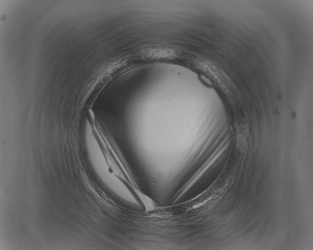 X0000083660447200703051756