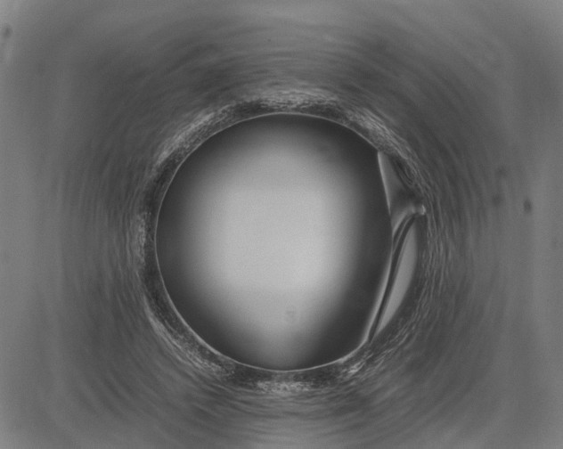 X0000083660448200703051756