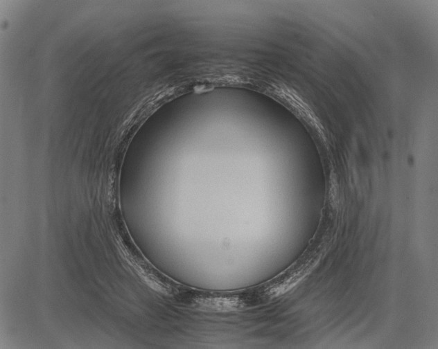 X0000083660449200703051756