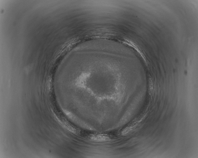 X0000083660451200703051756