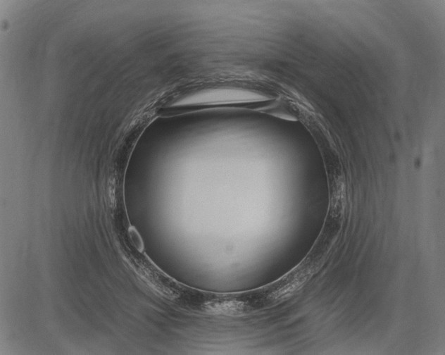 X0000083660452200703051756