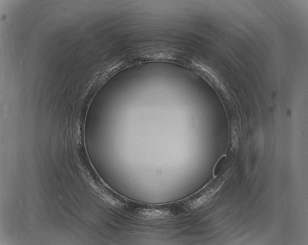 X0000083660453200703051756