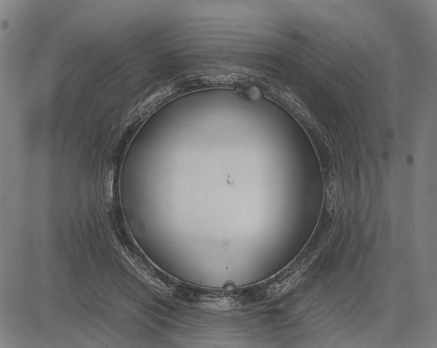 X0000083660454200703051756