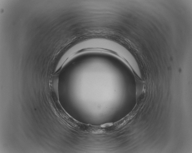 X0000083660456200703051756