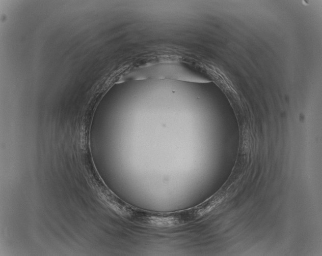 X0000083660457200703051756