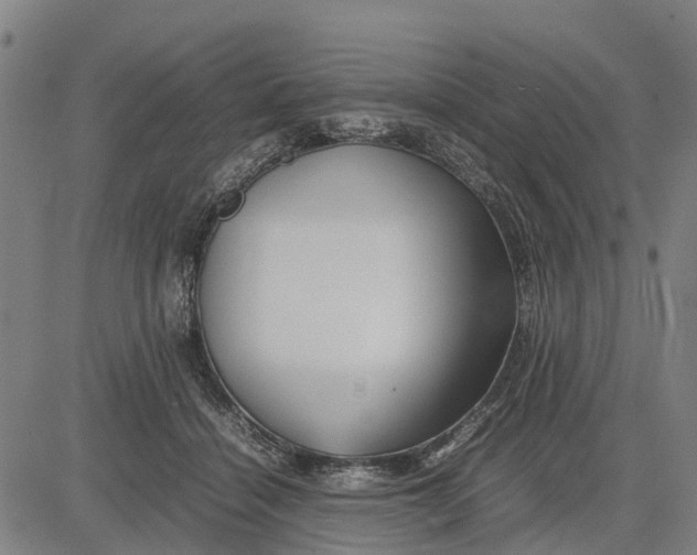 X0000083660460200703051756