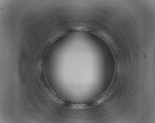 X0000083660461200703051756