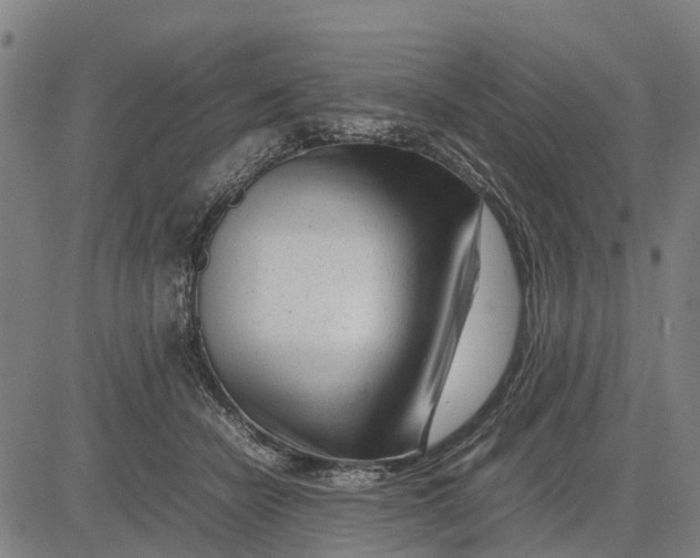 X0000083660462200703051756