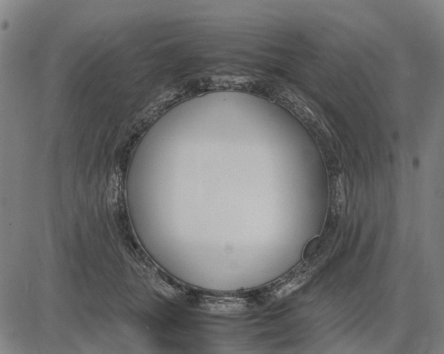 X0000083660463200703051756