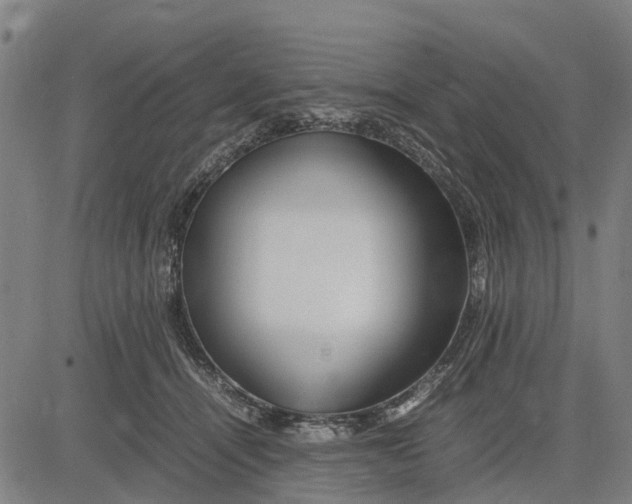 X0000083660464200703051756