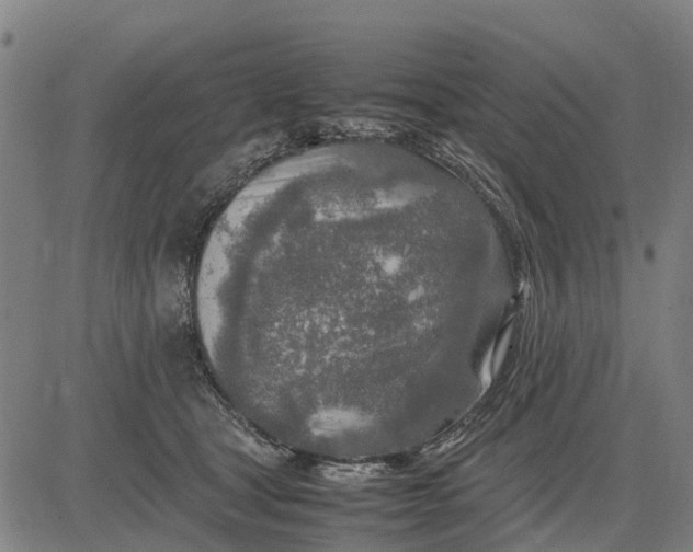 X0000083660465200703051756