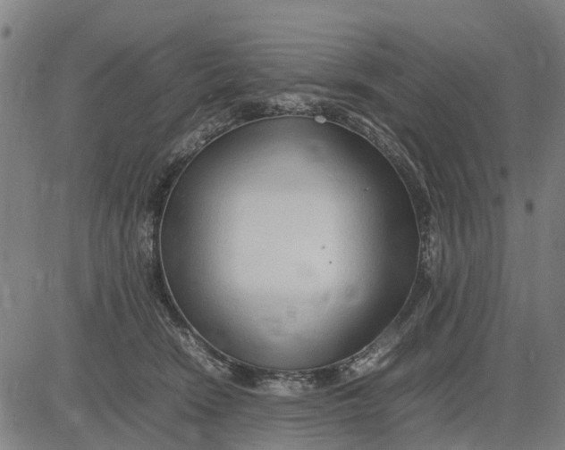 X0000083660466200703051756