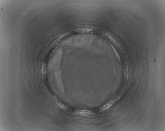 X0000083660467200703051756