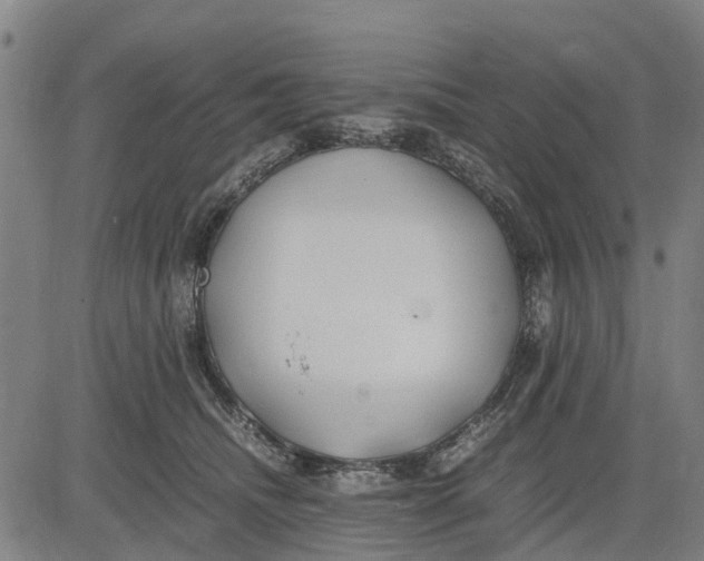 X0000083660468200703051756