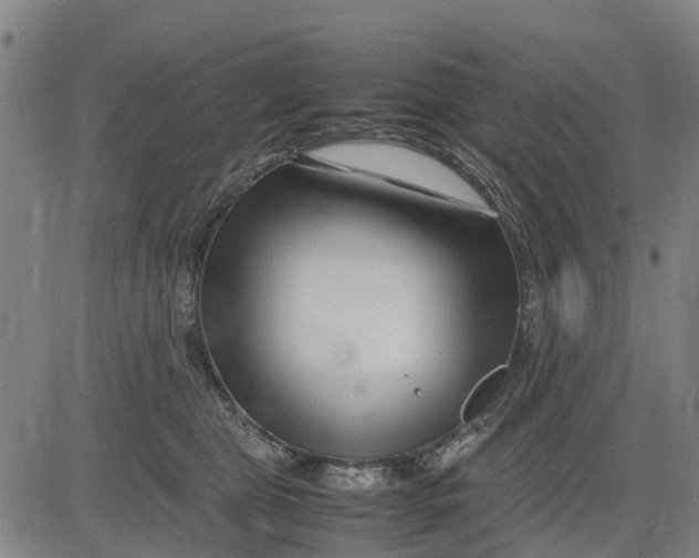 X0000083660469200703051756