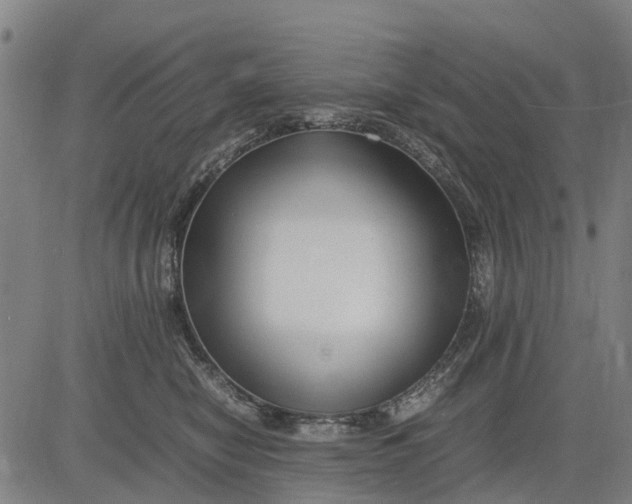 X0000083660470200703051756