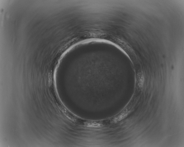 X0000083660471200703051756