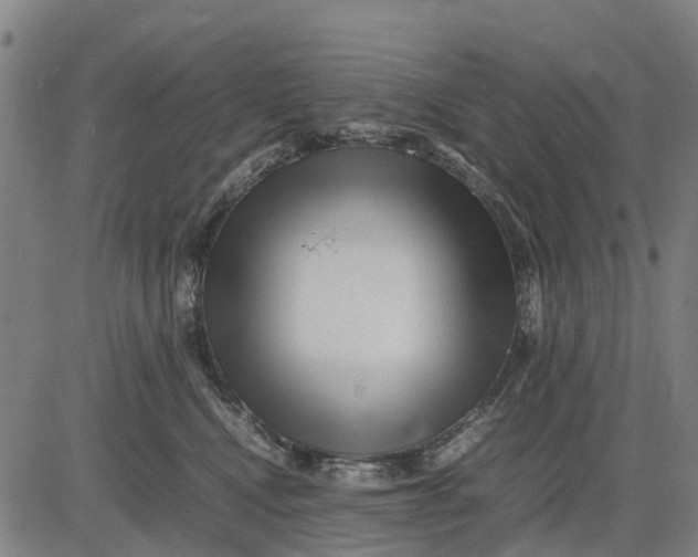 X0000083660472200703051756