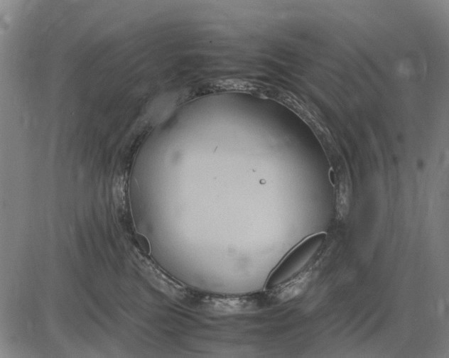 X0000083660473200703051756