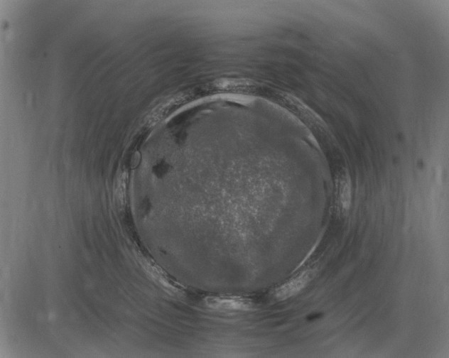 X0000083660475200703051756