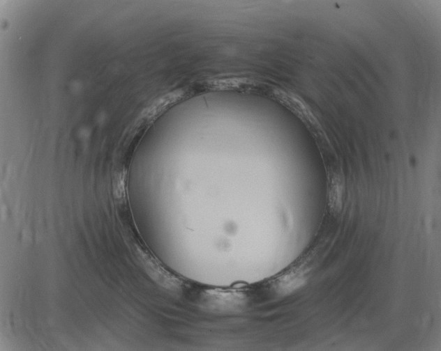 X0000083660477200703051756