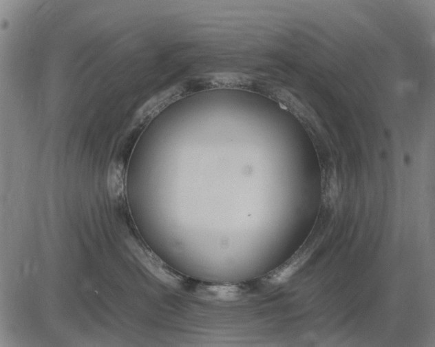 X0000083660478200703051756