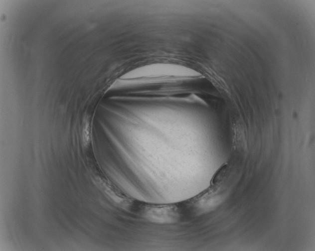 X0000083660479200703051756