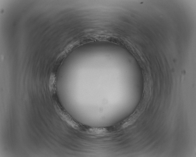 X0000083660480200703051756