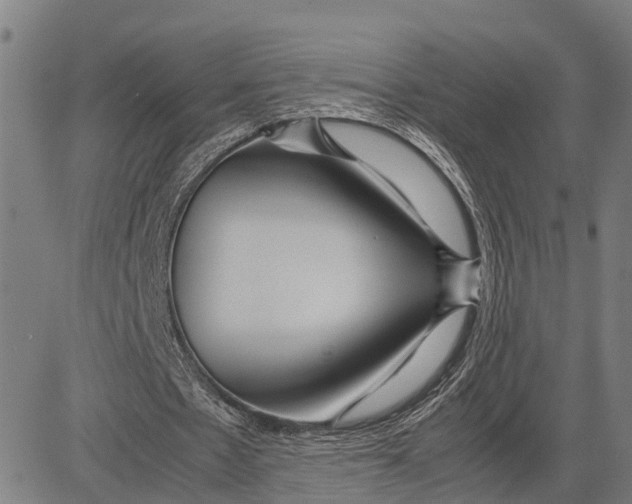 X0000083660481200703051756