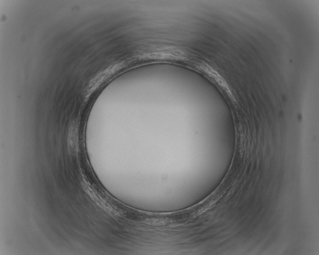 X0000083660482200703051756