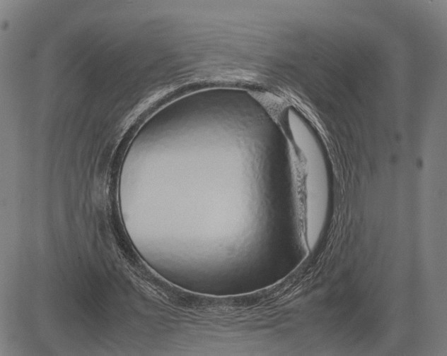 X0000083660483200703051756