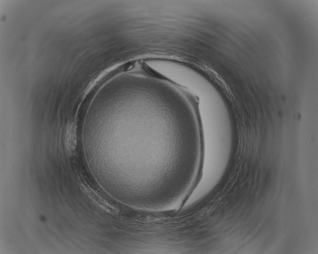 X0000083660484200703051756