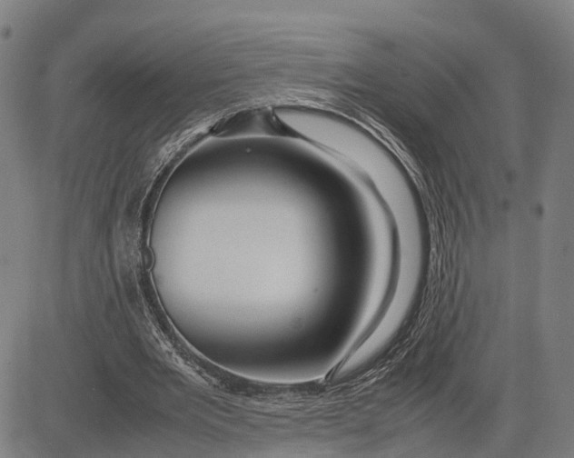 X0000083660485200703051756