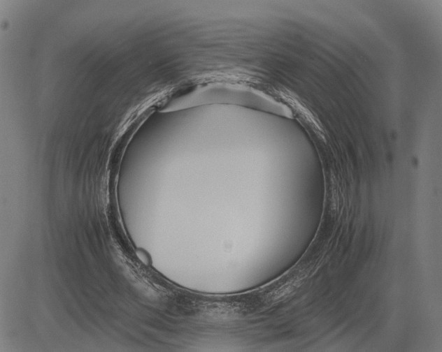 X0000083660486200703051756