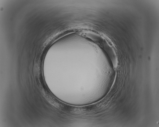 X0000083660487200703051755