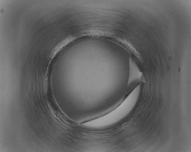 X0000083660488200703051755