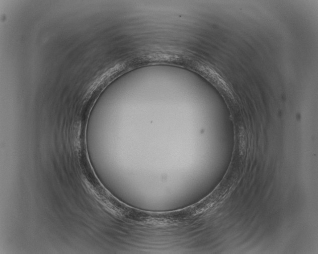 X0000083660490200703051755