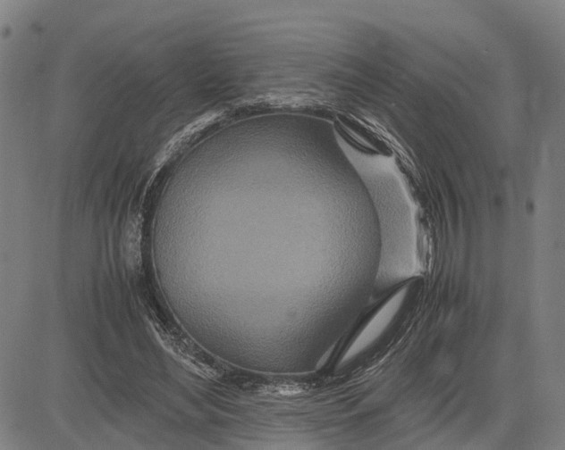 X0000083660492200703051755