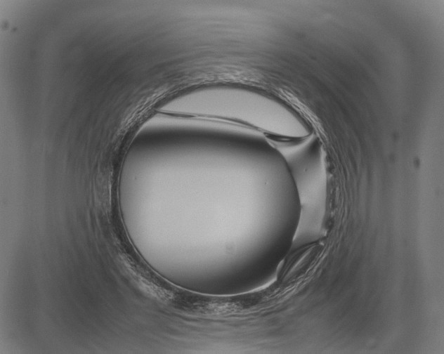 X0000083660493200703051755