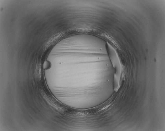 X0000083660494200703051755