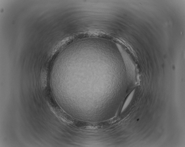 X0000083660496200703051755