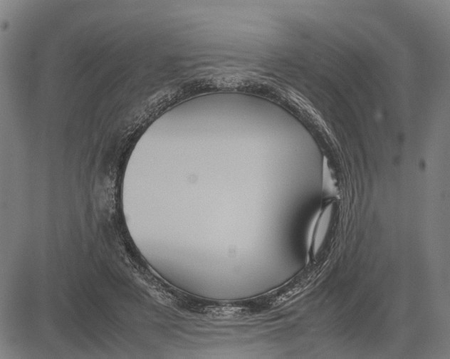 X0000083660497200703051755