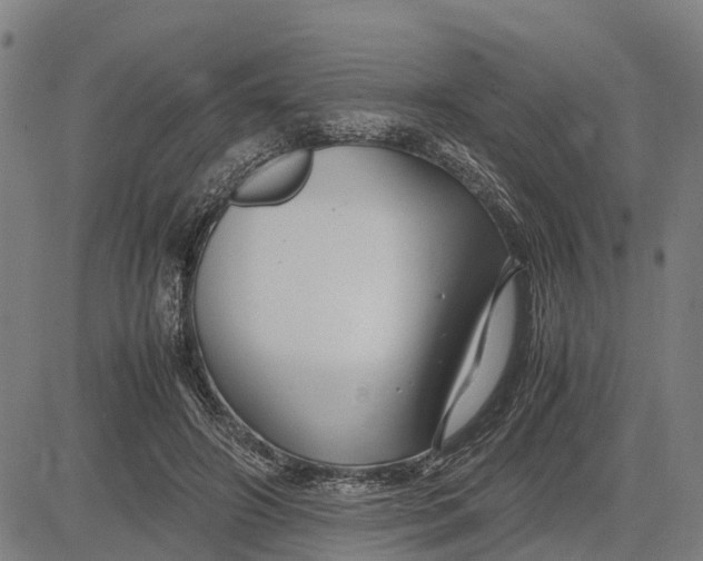 X0000083660498200703051755