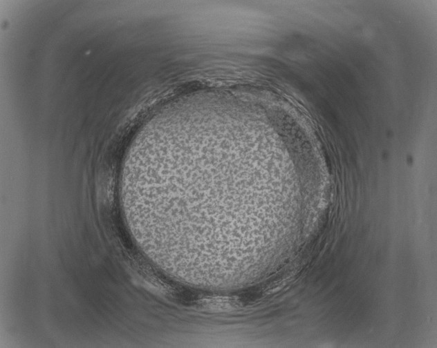 X0000083660499200703051755