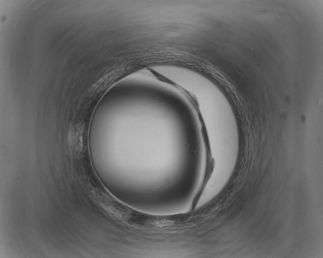 X0000083660501200703051755